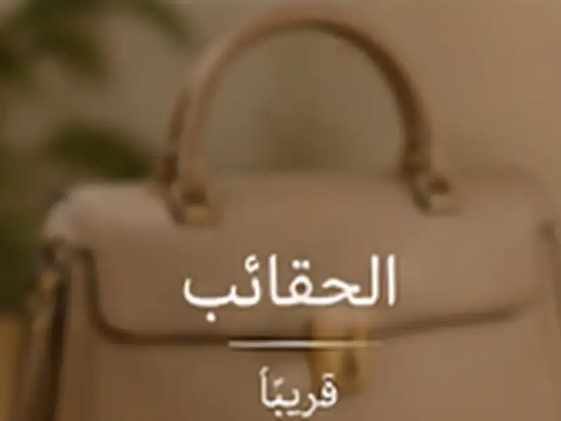 صورة تحريرية مولدة لفئة الحقائب